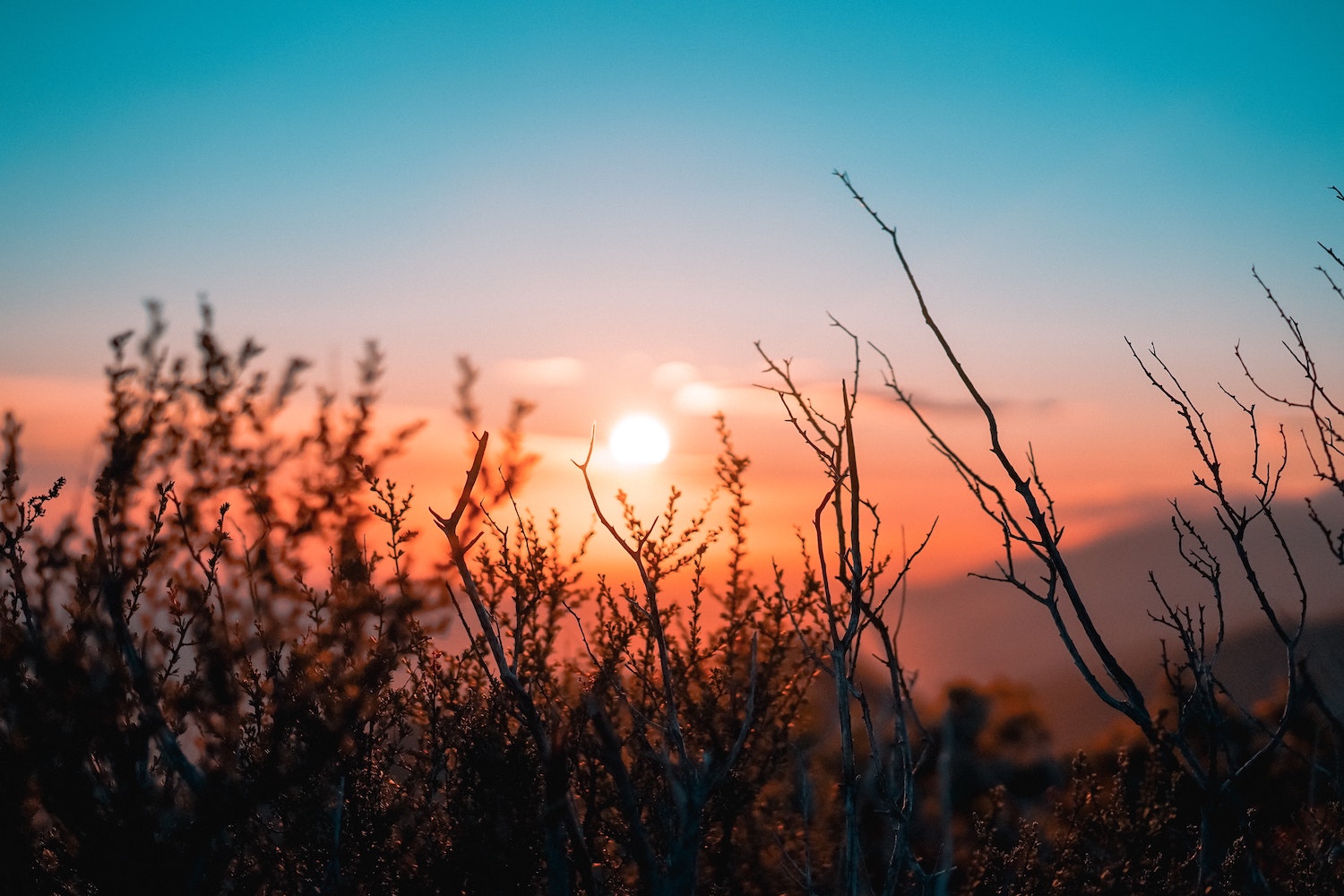 Desert sunrise