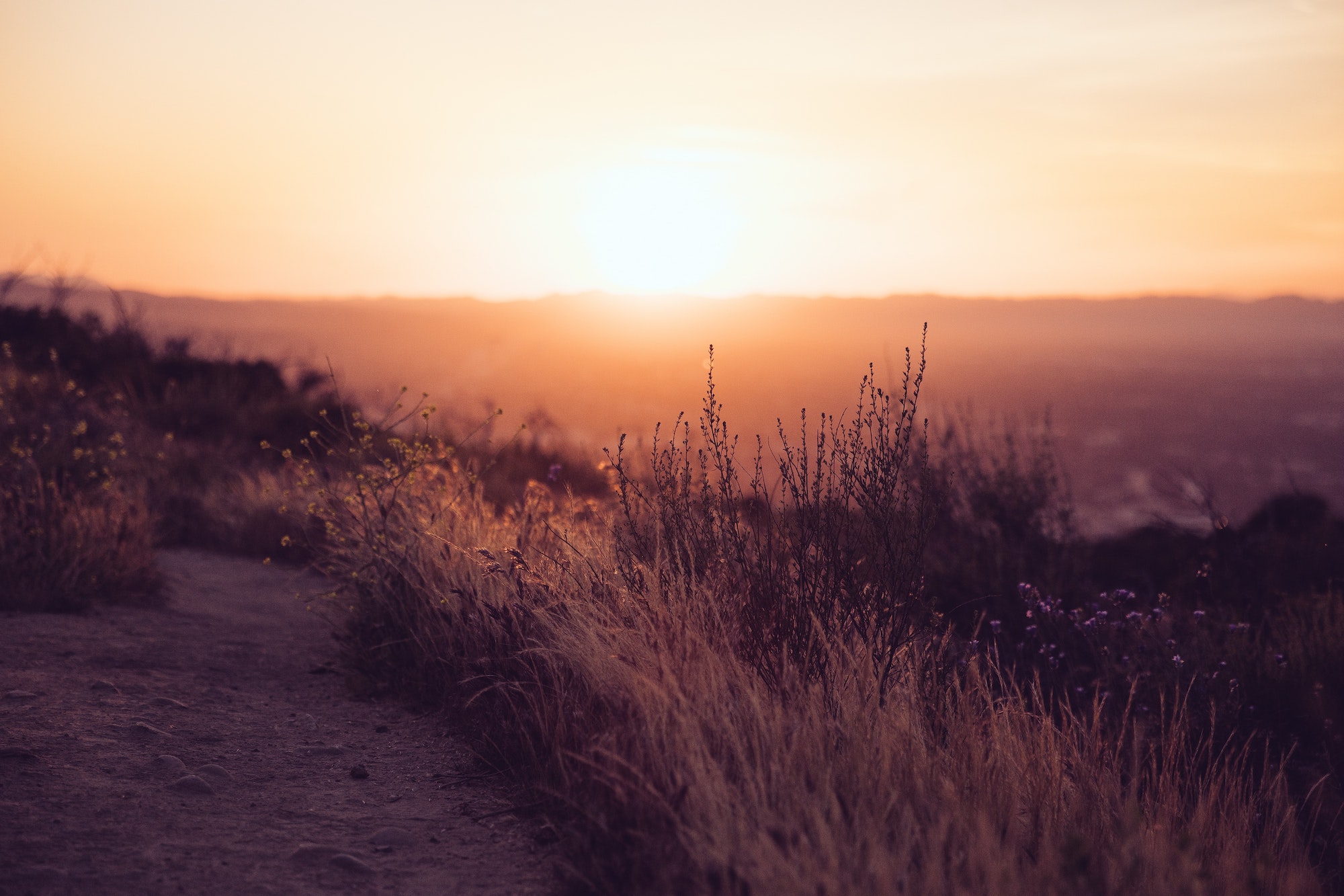 Desert sunset