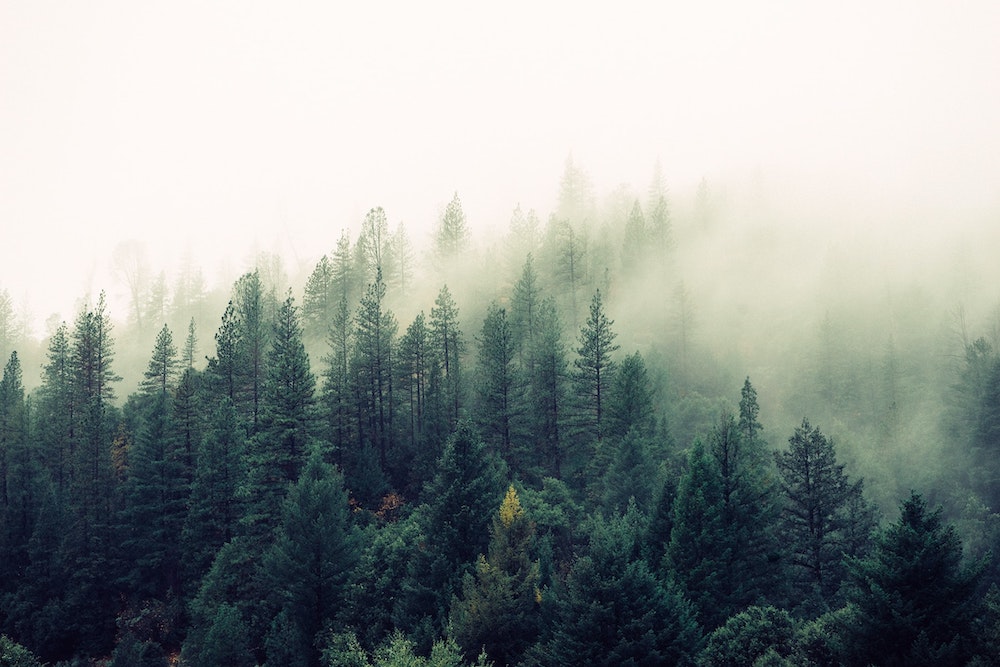 Foggy Mountain