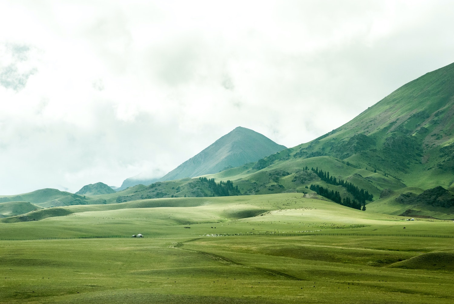 Green mountains over pasture