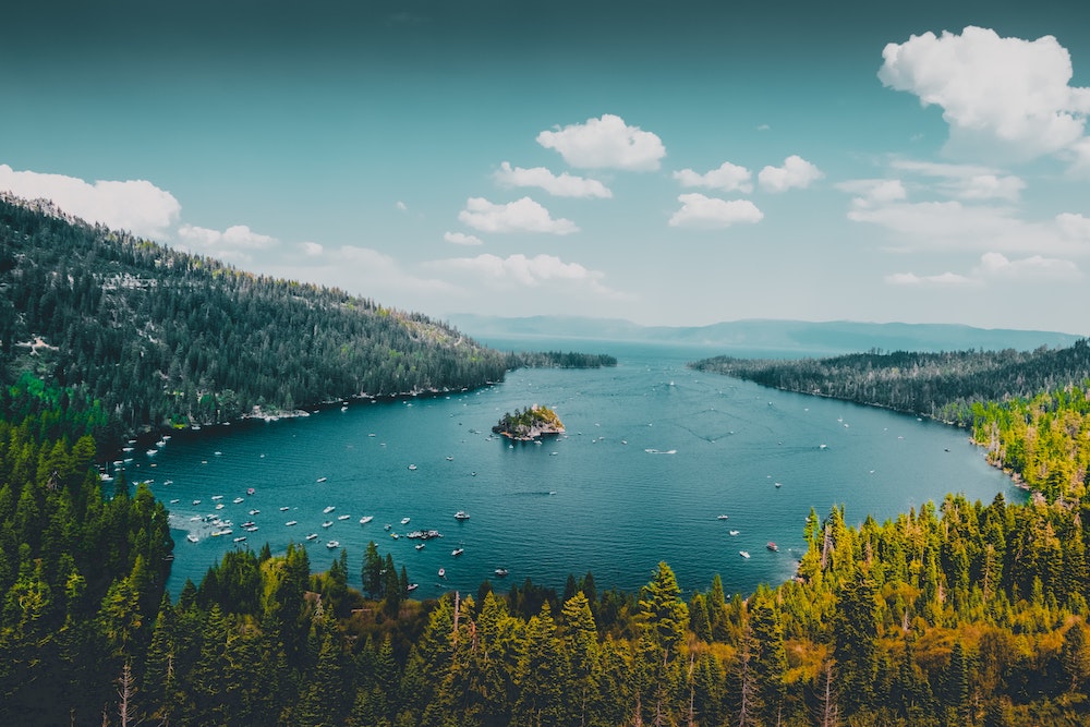 Lake in daytime