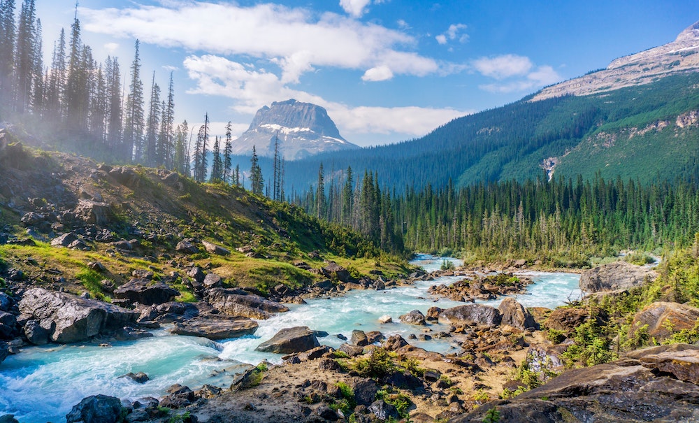 Mountain stream